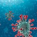 南非发现新型新冠病毒变种 存在大量突变