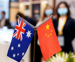 自掏腰包！澳地方政府资助本州企业赴华参加进博会
