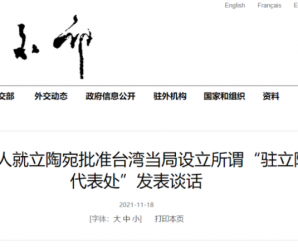 社评：惩罚立陶宛当局，要像打一只苍蝇一样