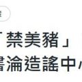 带头变造提案：“反莱猪”变“禁美猪”，蔡英文脸书被批沦为造谣中心