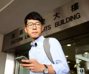 社评：“民主峰会”，一只毒马蜂劫持了一群蜜蜂