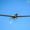 日媒渲染乌军“经验”，称日本防卫省将研究如何运用攻击型无人机