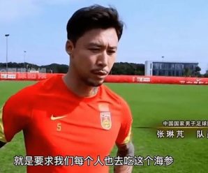 西班牙大学论文专门分析“中国足球不成功”