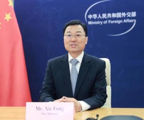 谢锋：这些国家有什么权利对中所商签安全合作框架协议指手画脚？