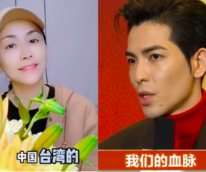 “绿委”声称萧敬腾、田丽被大陆“统战”，网友：本来就是中国人