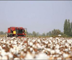 美国涉疆恶法生效，美媒：在华美企担忧物流中断、成本上升