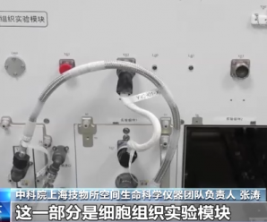 探索生命起源等领域！中国空间站科学实验设施还有这些神奇功能