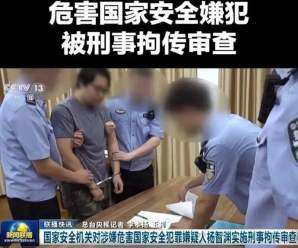 长期从事“台独”分裂活动 杨智渊被国家安全机关依法审查