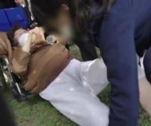惹众怒！韩媒：94岁“慰安妇”受害者想见佩洛西，被警卫推倒受伤