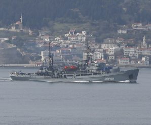 俄海军为何在地中海集结兵力？俄媒分析